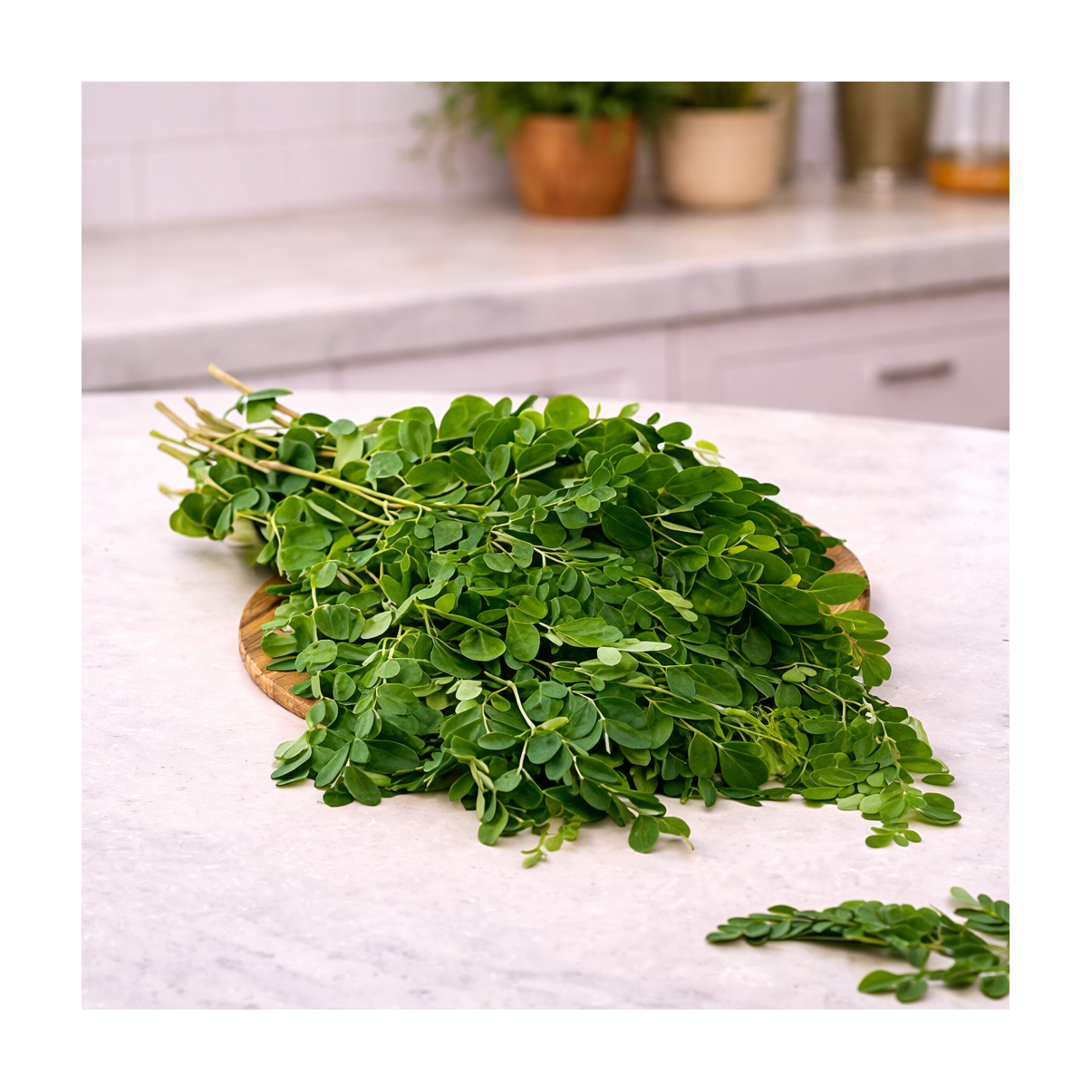 ANNAHOTRAM Moringa Powder